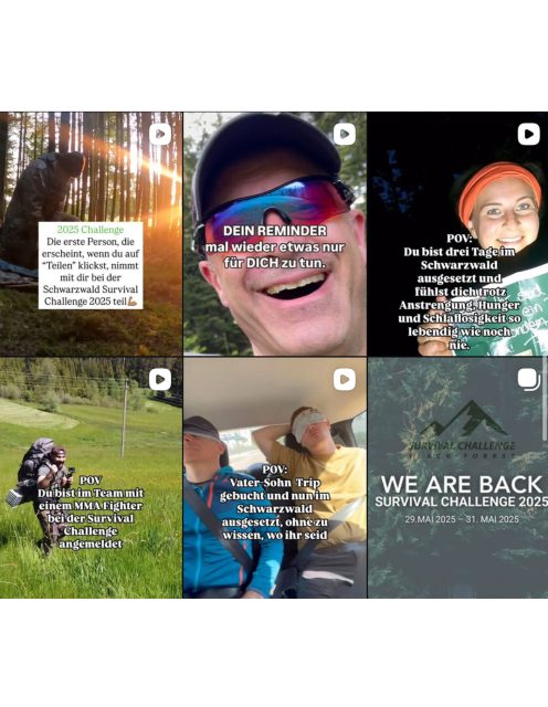feed3